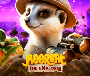 Meerkat The Explorer
